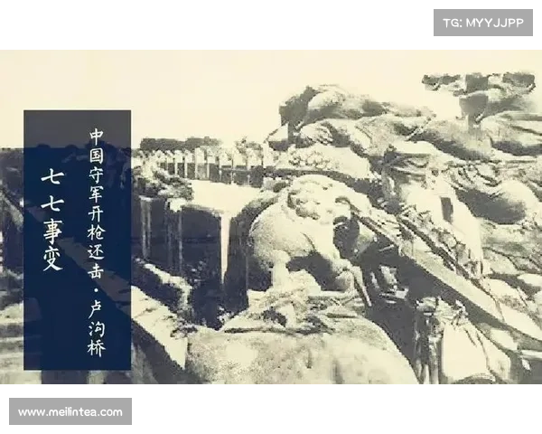 深度解析被尘封的故事技巧 揭示历史遗忘篇章背后的真实与隐秘 深度解析被尘封的故事技巧 揭示历史遗忘篇章背后的真实与隐秘