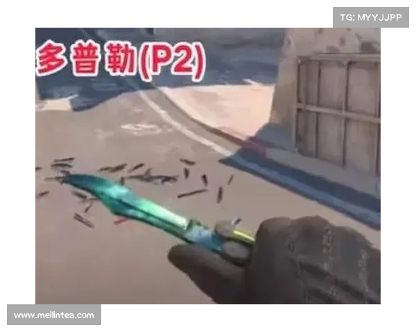 俄罗斯CSGO皮肤交易平台选择指南如何挑选最适合你的平台 俄罗斯CSGO皮肤交易平台选择指南如何挑选最适合你的平台