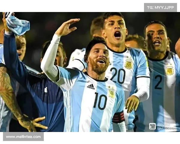 北美洲杯赛的历史演变与文化影响探索