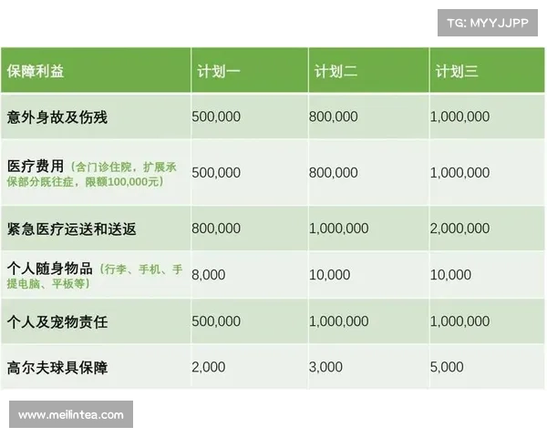 安联作为全球知名体育与保险赞助商的核心优势与品牌影响力分析