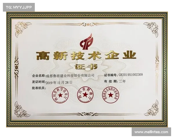 建业俱乐部的组织性质与发展历程解析