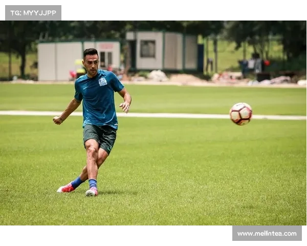 扎哈维退役的真正原因解析及其对职业生涯和未来发展的深远影响